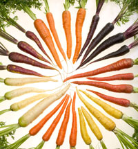 Carrots